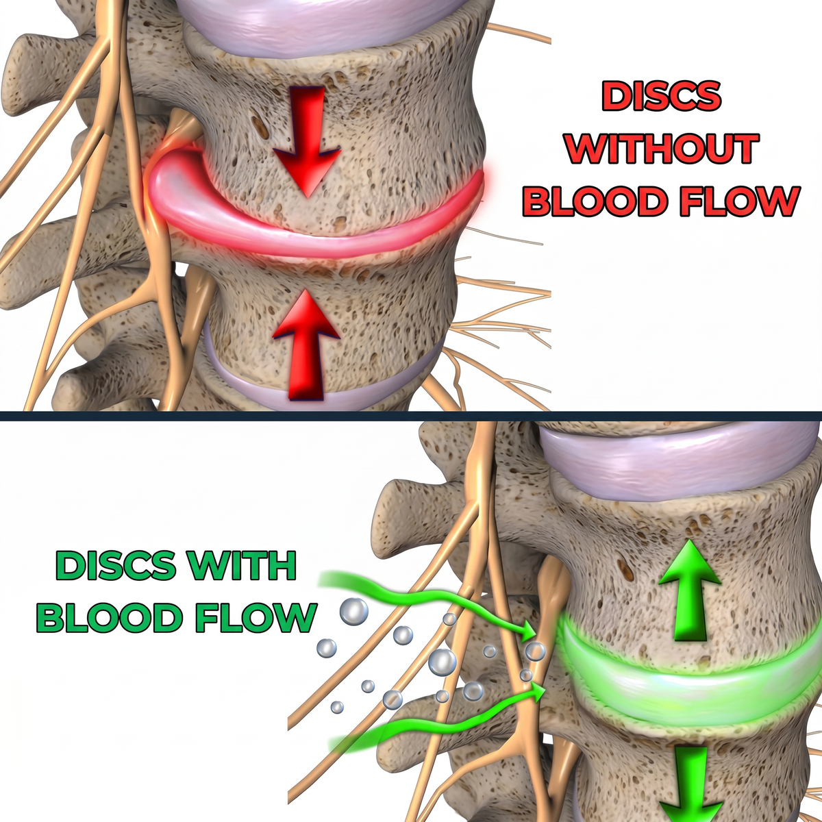 You Are Just 15 Minutes Away From Being FREE From Back Pain & Sciatica